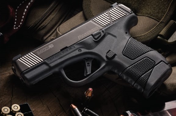 handguns under 500 2